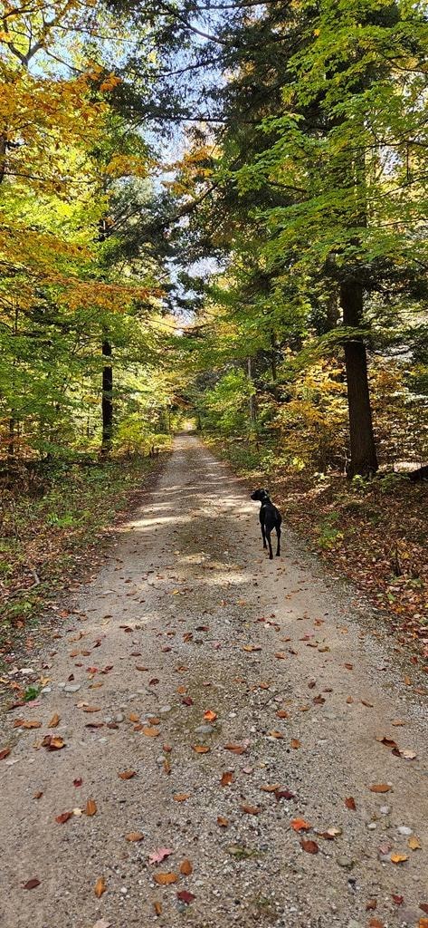 0 Chambers Island unit 144840, Chambers Island, WI 54212 - photo 3