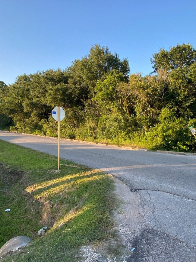 0 Dover St unit 26134764, Houston, TX 77061 - photo 5