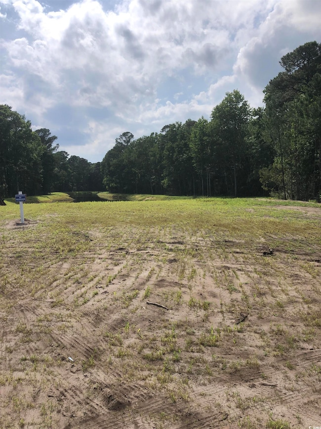View of yard featuring a view of rural / pastoral area and a wooded view