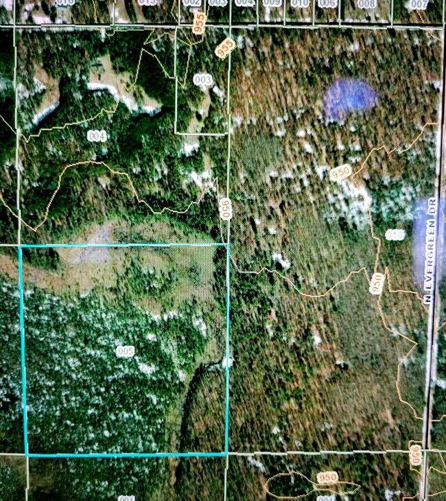 0 E Lincoln St, Brohman, MI 49312 - photo 4