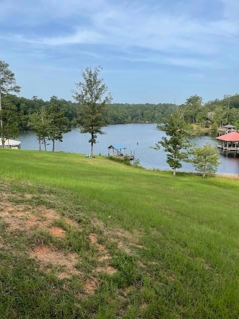 0 Magnolia Ridge Lot 7 Rd, Boyce, LA 71409 - photo 6