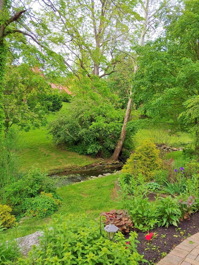 Stream