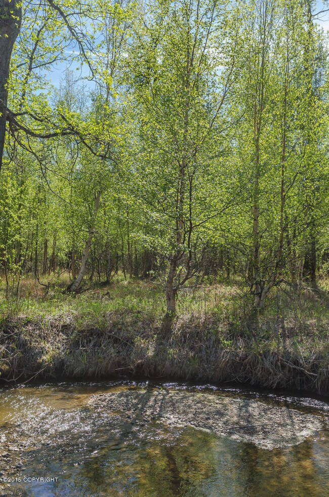 Dave Grows Creekside Estates-large-005-D