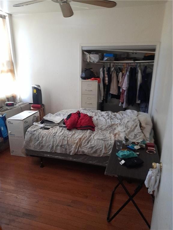 4050 Nostrand Ave unit 1F, Brooklyn, NY 11235 - photo 7