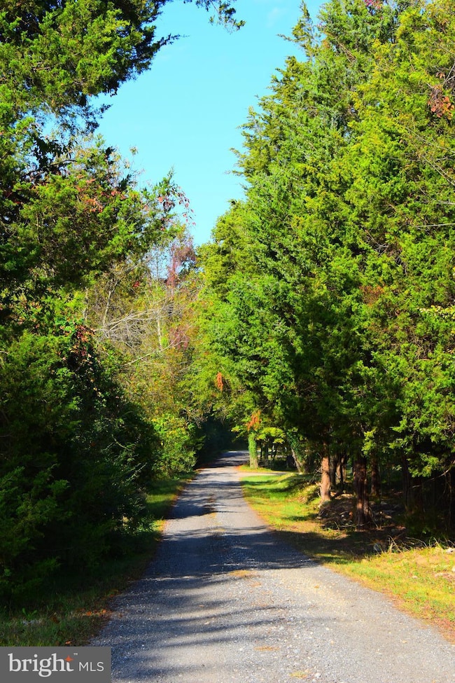 45265 F Birch Ln, California, MD 20619 - photo 2