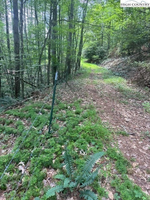 Lot 17 Sunny Ln, Crumpler, NC 28617 - photo 4