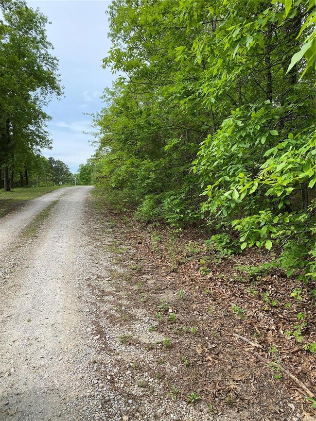 0 Hawksbill Dr, Cullen Township, MO 65459 - photo 2