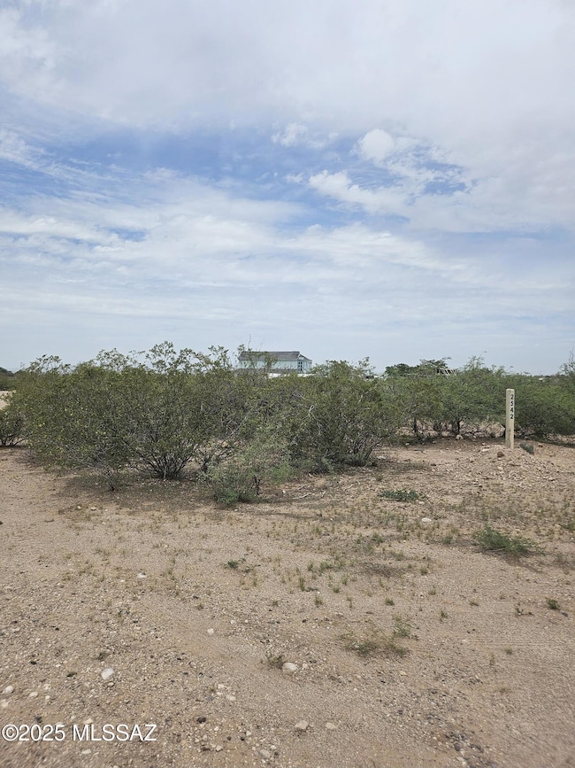 View facing the lots