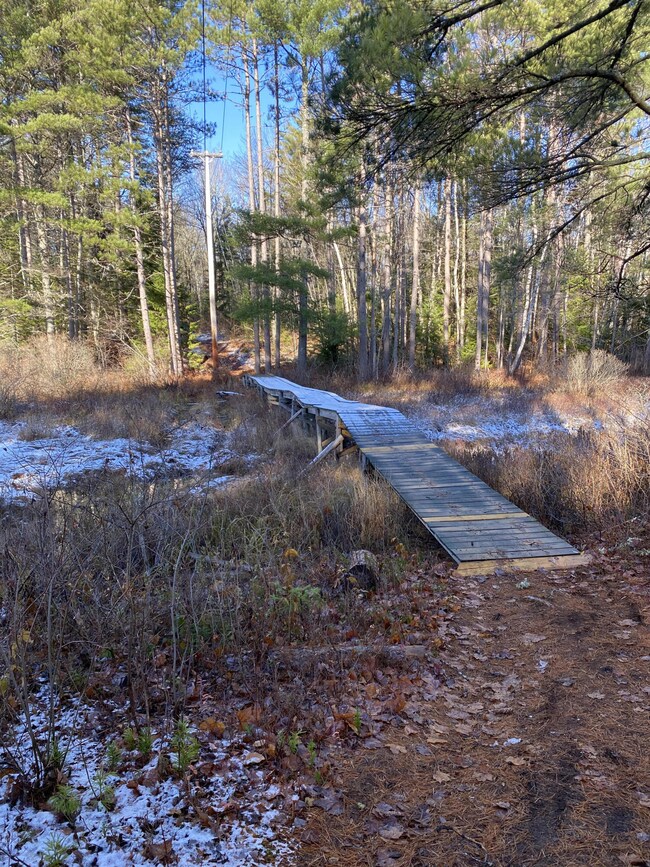 access bridge