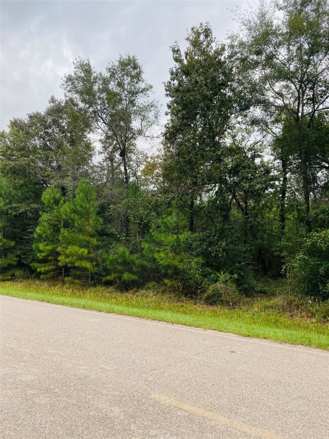 11817 White Oak Pass, Conroe, TX 77385 - photo 4