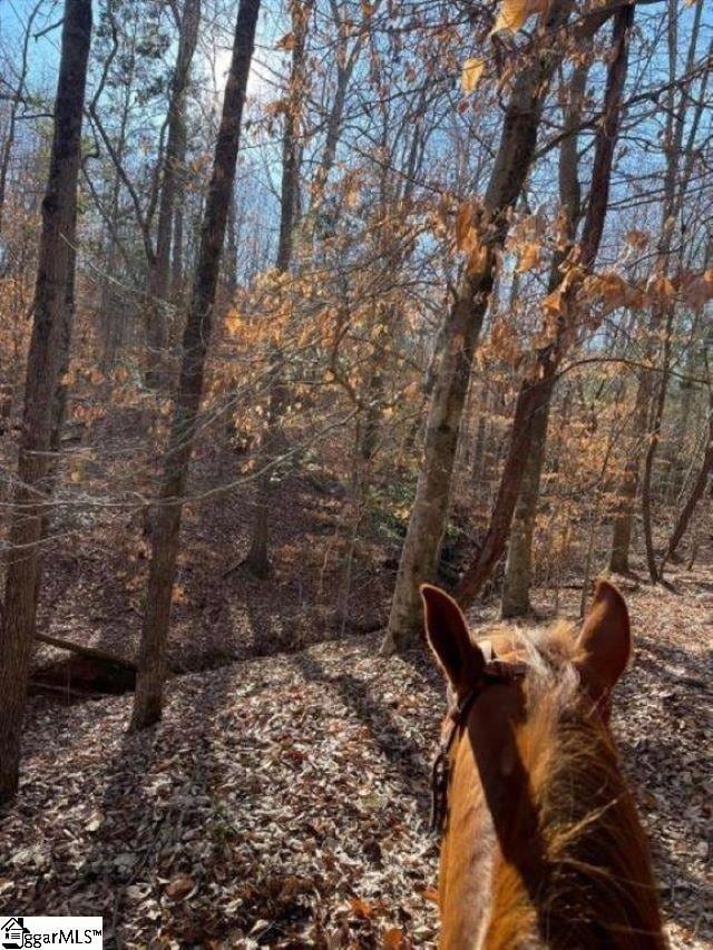 00 Catalan Ct, Fountain Inn, SC 29644 - photo 4