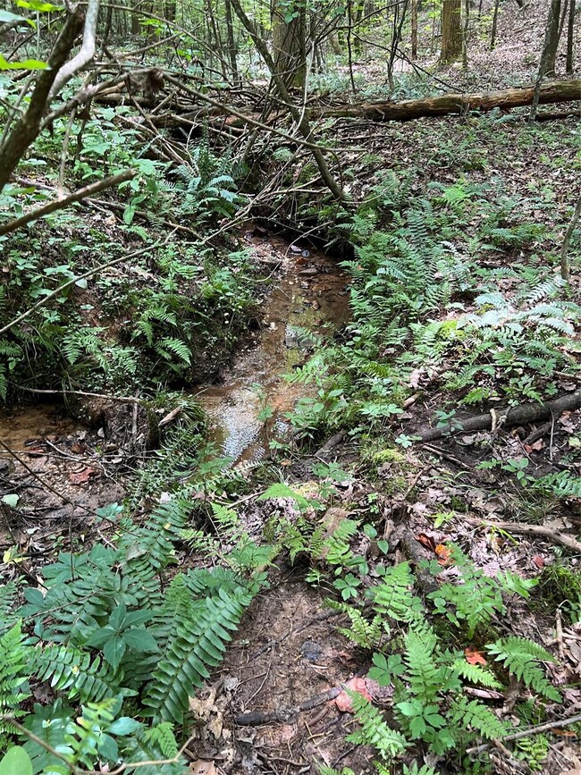 1927 State Road S-46-883, Clover, SC 29710 - photo 3