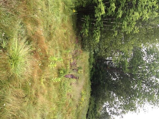 585 N Bridgton Rd, Bridgton, ME 04009 - photo 2