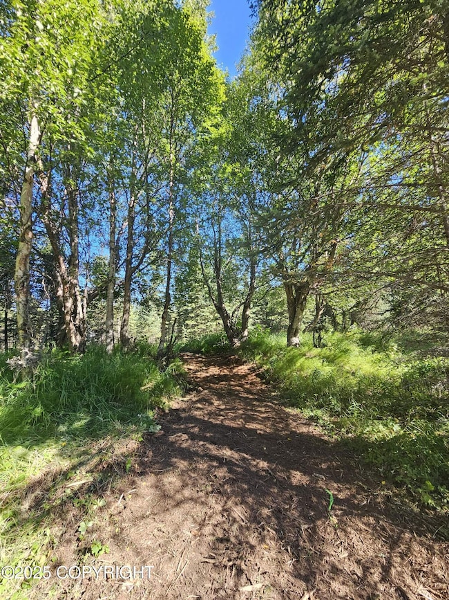 L9 Tolum Rd, Cohoe, AK 99568 - photo 2