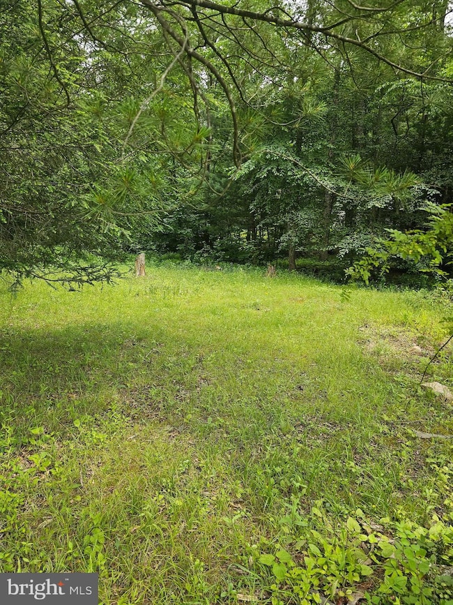 00 Pisgah Rest, Shermans Dale, PA 17090 - photo 6