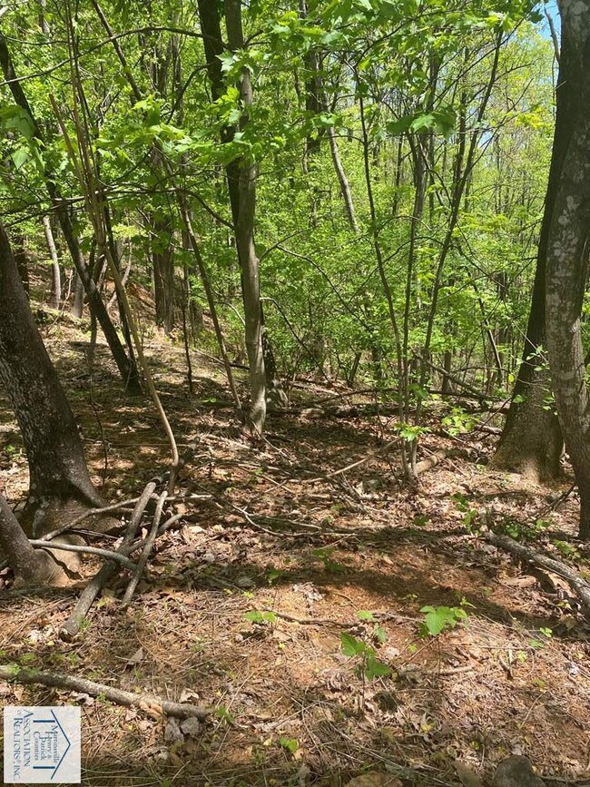 Lot 12 Timber Run Dr, Woolwine, VA 24185 - photo 6