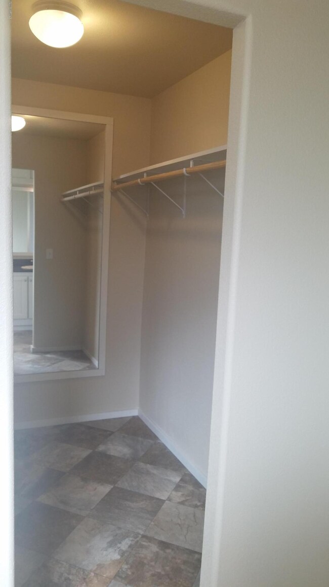 master walk-in closet