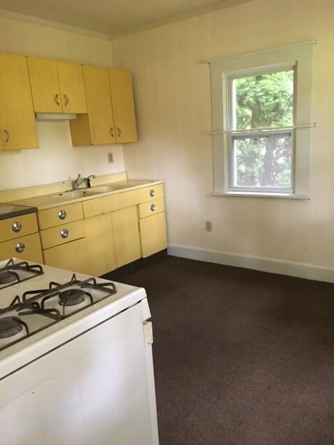 1113 Naomi St, Auburn, IN 46706 - photo 4