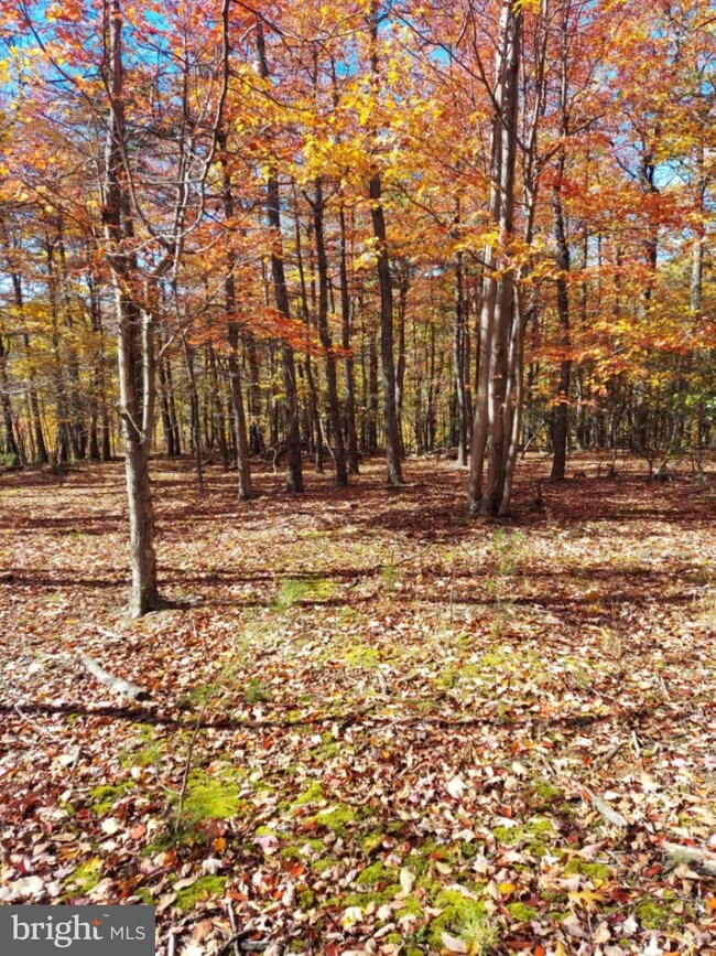 Lot 8A Little Mountain, Cabins, WV 26855 - photo 2
