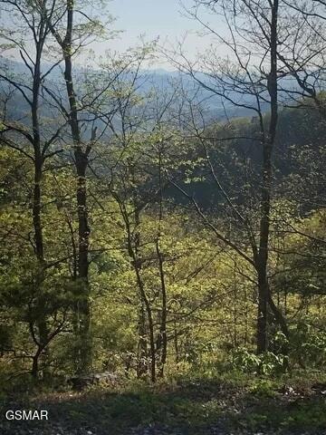 18 Red Maple Ln, Sevierville, TN 37876 - photo 3