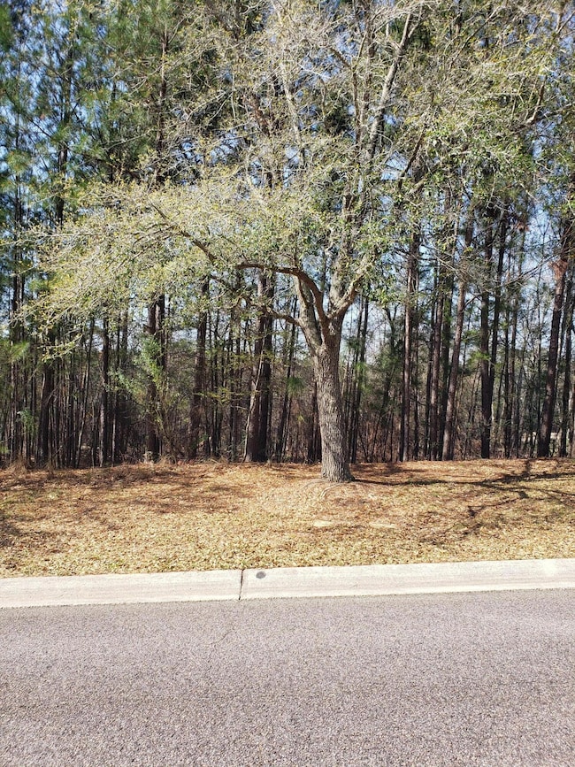 543 W Pleasant Colony Dr unit Lot 290, Aiken, SC 29803 - photo 2