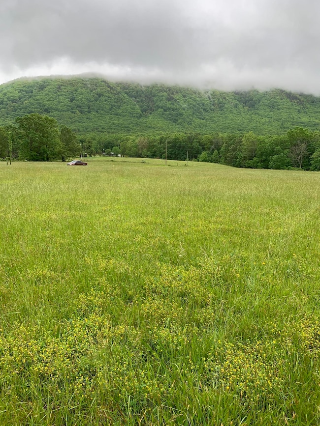 Lt 14 Old Mountain Rd, Greeneville, TN 37743 - photo 4