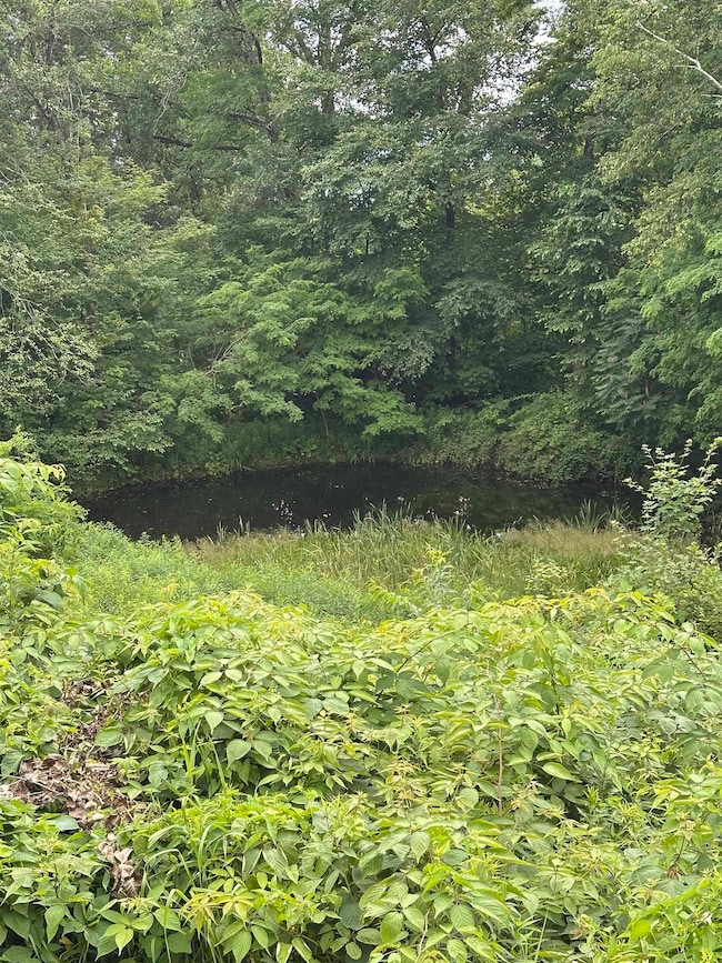 2114 Lilly Hill Rd, Pawlet, VT 05761 - photo 3