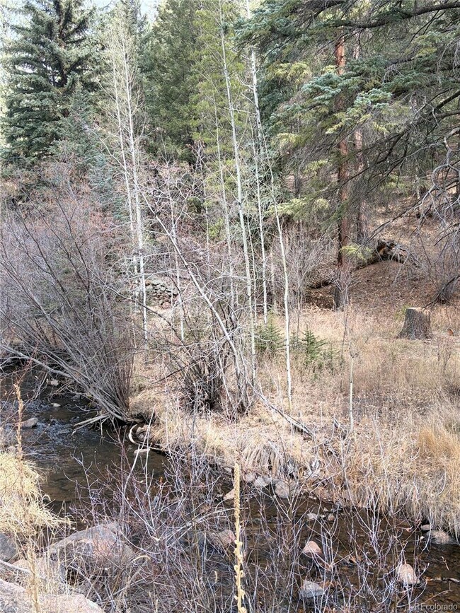 00000 S Elk Creek Rd, Pine, CO 80470 - photo 4