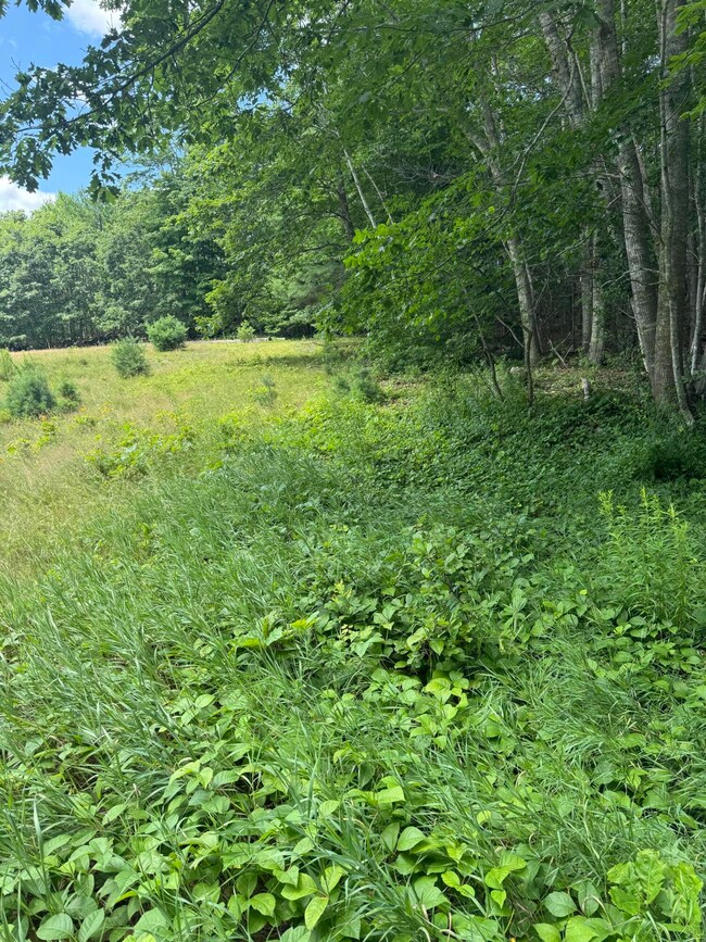 Part of 743 Wottons Mill Road, Union