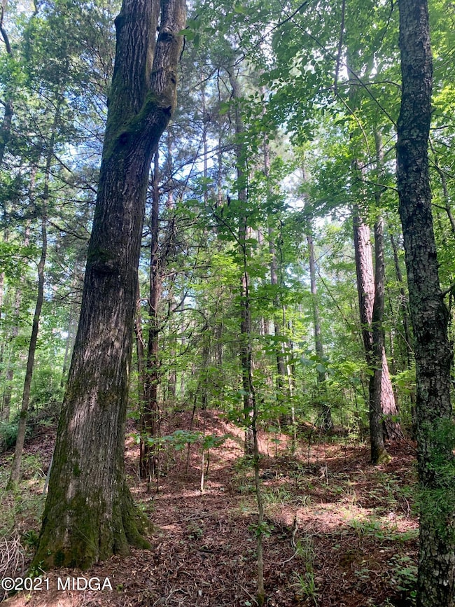 0 Watson Rd unit M161519, Forsyth, GA 31029 - photo 5