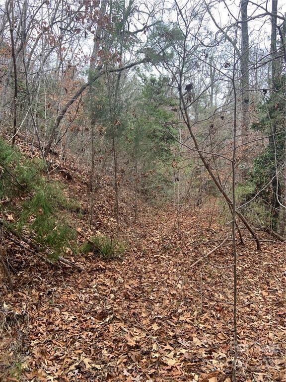 0 Cherokee Mine Rd, Franklin, NC 28734 - photo 4