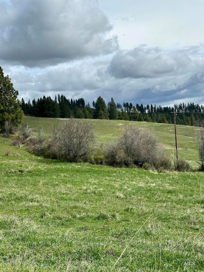 TBD Llama Ln, Kamiah, ID 83536 - photo 3