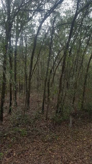 A & B Franklin St, Darien, GA 31305 - photo 2