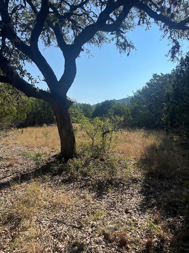 4223 Texas 173, Bandera, TX 78003 - photo 2