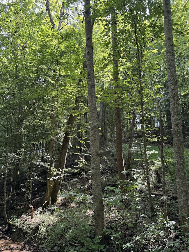 0 Albert Fentress Rd unit RTC2906900, Greenbrier, TN 37172 - photo 4