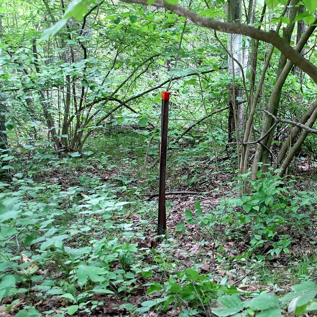 Property is Surveyed and well marked.