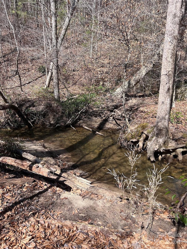 Tract 1 Holbert Cove Rd, Mill Spring, NC 28756 - photo 5