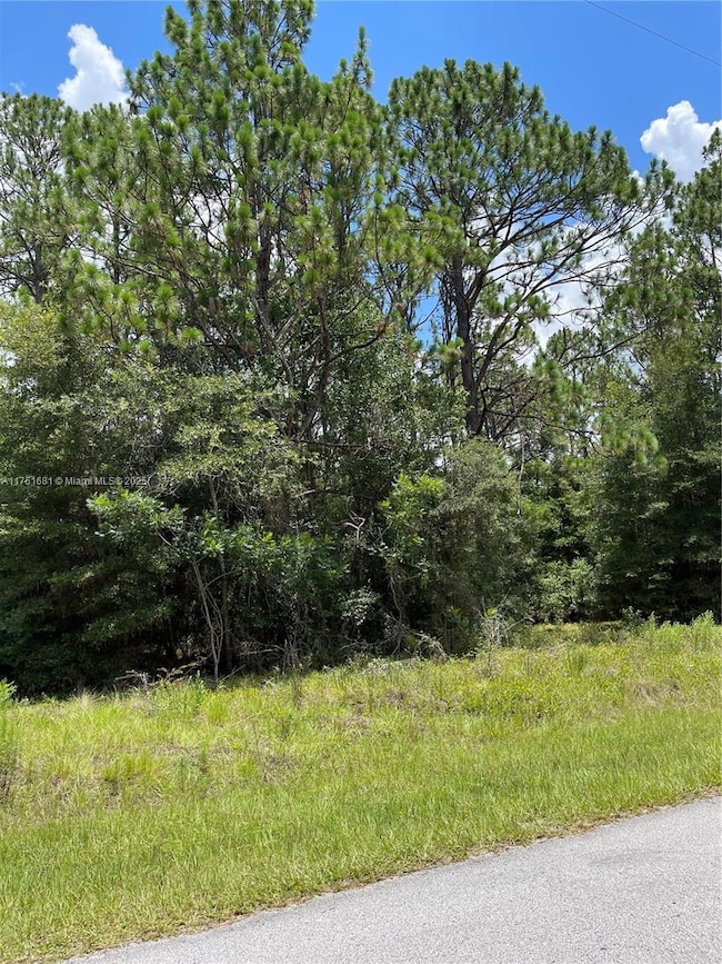 tbd SW 59th Ln, Dunnellon, FL 34431 - photo 3