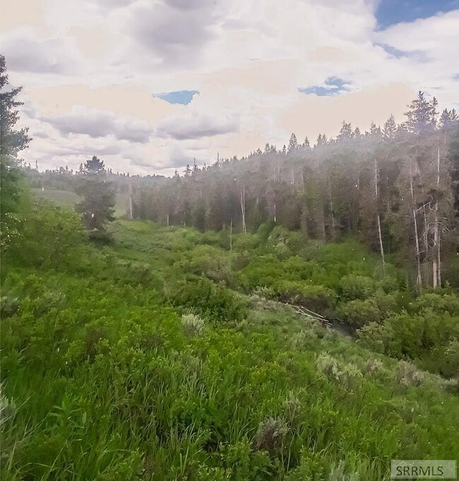 Fish Creek corridor, National Forest behind