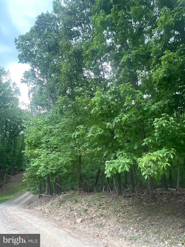 Lot 24 Maple Ln, Bluemont, VA 20135 - photo 3