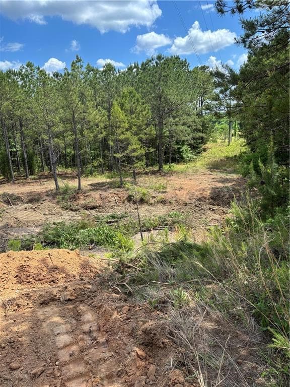 3921 S Highway 431, Phenix City, AL 36869 - photo 7