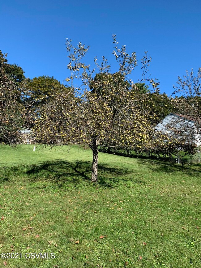 33 Conyngham Drums Rd, Sugarloaf, PA 18249 - photo 3