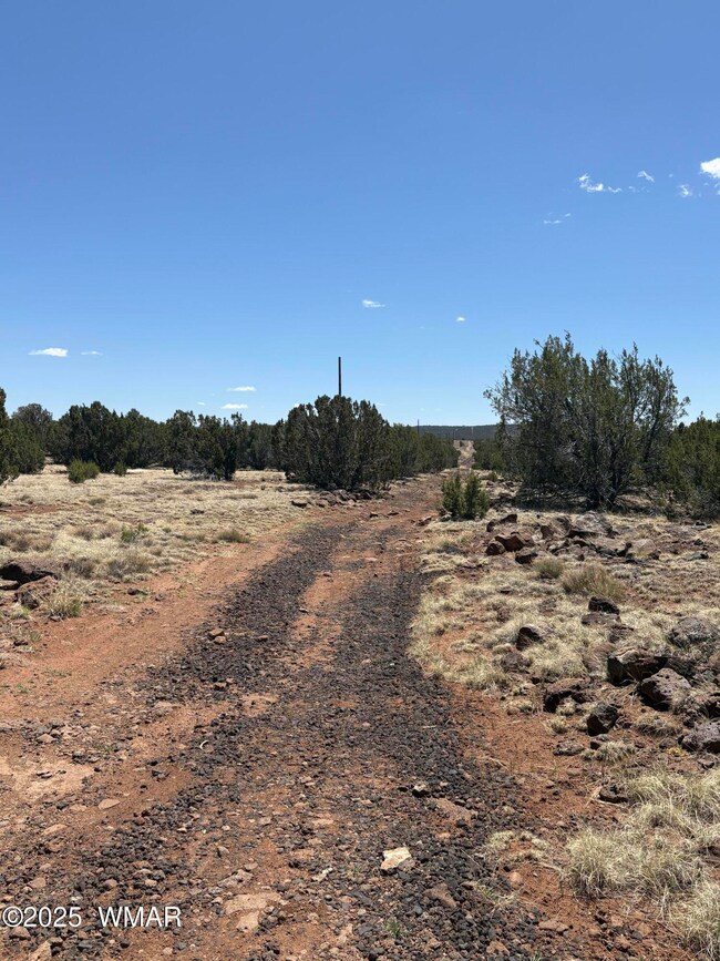 Easement