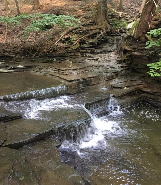 Creek