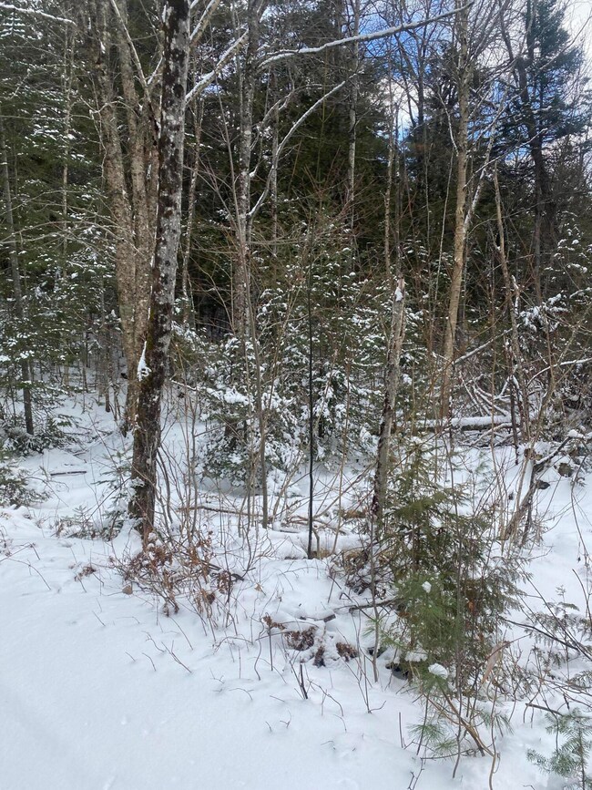 Lot 12 Jim Eaton Hill Rd, T3 R4 Bkp Wkr, ME 04691 - photo 5
