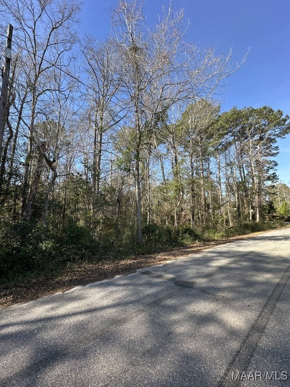 29 Ann Dr, Eufaula, AL 36027 - photo 4