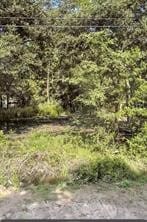 8126 Sunnyhill St, Houston, TX 77088 - photo 3