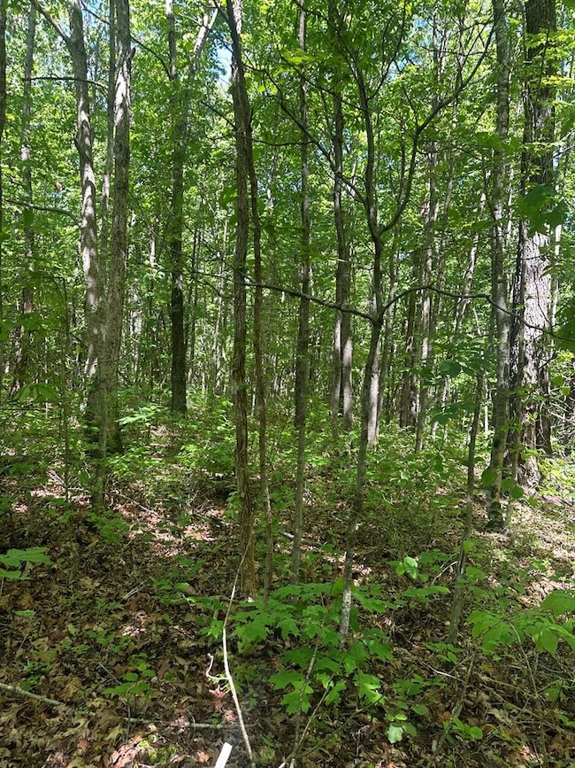 unlisted-address, Wilder, TN 38589 - photo 7