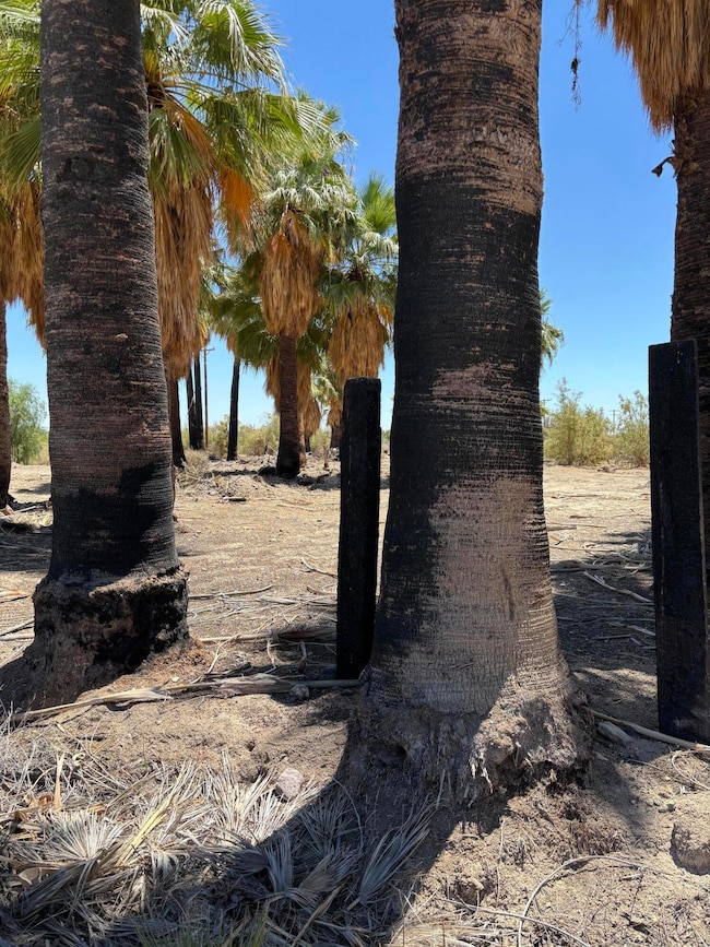 51 W 4th St, Niland, CA 92257 - photo 2