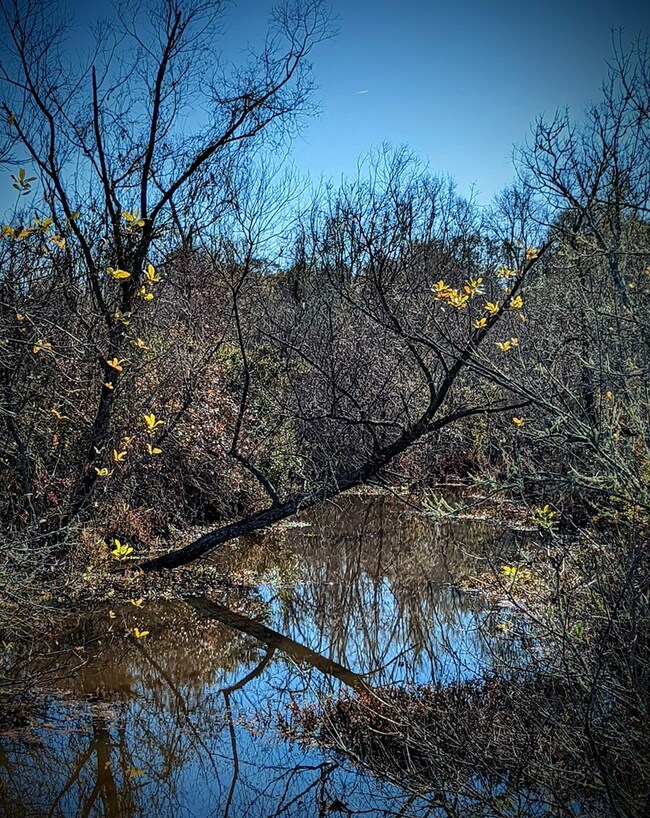 Historic Hat Creek is nearby